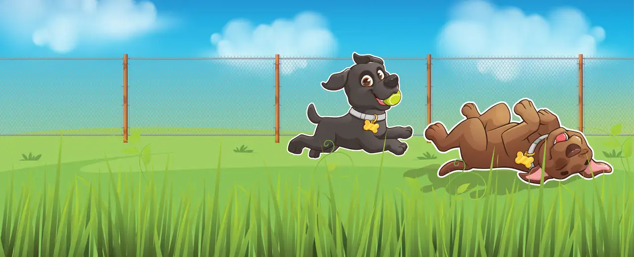 The Dogs Paddocks Heading