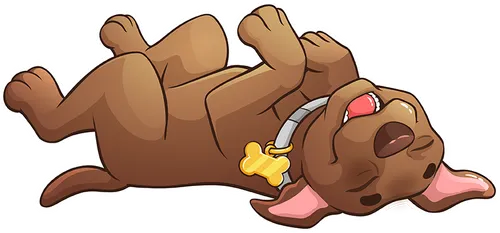 Happy dog rolling upside down